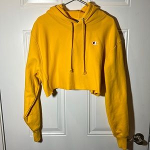Champion Cropped Hoodie